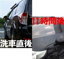 梅雨直前の天気予報は信じない！