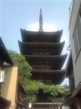 今日はお散歩