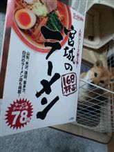 たからのちずをてにいれた