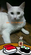 多忙な毎日