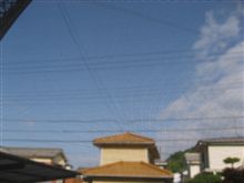 雨男返上♪