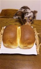 いやーん！おしりなめちゃ