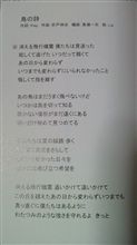 鳥の詩(Liaつながり) 鳥の詩(Liaつながり)
