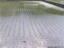 2010.5.31.のんびりと過ごした休日。
