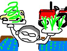 おんなじ緑色なのに・・・。