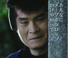 今日の一枚