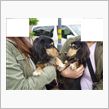 リッキーの実の兄弟を紹介します。