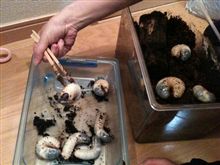 お食事中の方はご遠慮ください