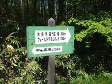 アルテイド
