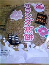 オランダへ…（笑。