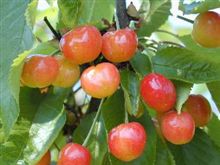 こんなに　重ならなくても　６月
