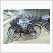自転車欲しいなあ。
