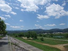 今週も中央道　～さくらんぼ狩り～