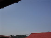 ６月７日　快晴な一週間の始まり月曜日、おはです～♪ 