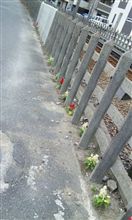 花を植える人！