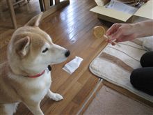 おやつ～大好き！！