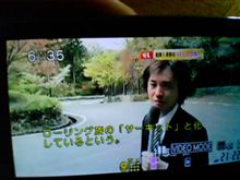 夕方のニュースで…