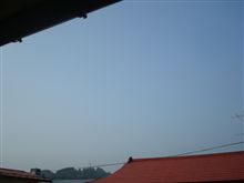 ６月１０日　今朝はいい天気なラス２木曜日、おはです～♪ 