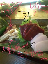 馬ウマウマ♡