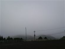 ハイランドは(￣∀￣)