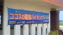 食欲も出てきたので