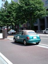 仙台の緑カブ