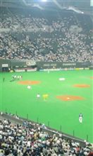 今日は…