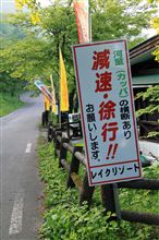 えっ!? 河童って・・・・・・