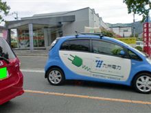 初めて見た! 初めて見た!