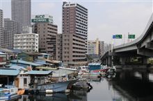 近場