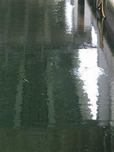 汚い運河で生きている