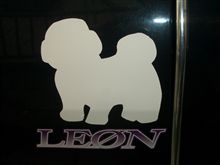 みみちゃん＆LEONステッカーを貼ってみました～