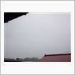 ６月１６日　雨がザーザー降っ ...