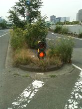 ピコピコ君が・・・・めがね？？