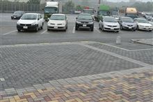 兄弟のようなそうでないような…