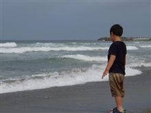 海