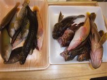 釣りごろ釣られごろ