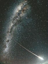 七夕仕様
