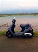 田んぼとJOG♪