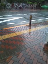 降ってるねぇ(゜o゜；