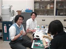 花の色素で太陽電池 花の色素で太陽電池