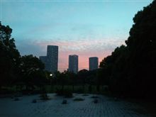 明るいうちに…