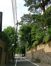 湿気がないのか過ごし易い朝￣O￣)ノオハ