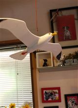 Windbird・・かもめグライダー