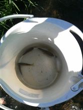 釣れたんじゃない、釣ったんだ 釣れたんじゃない、釣ったんだ