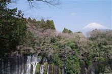 [蔵出]白糸の滝と富士山コラボ