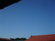 ６月２５日　日本代表おめでとうなラス１金曜日、おはです～♪