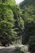 権現谷線 権現谷線