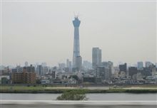 お出掛け・・・