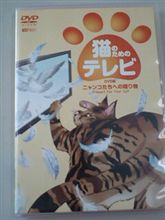 猫さん用 DVD